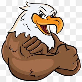 Vector Mascota Aguila Png Clipart , Png Download - Eagle Cartoon, Transparent Png - aguila png