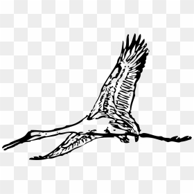 Giant Bird Clip Art, HD Png Download - giant png
