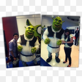 Photo With Shrek Img - Halloween Costume, HD Png Download - mlg shrek png