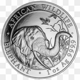2015 Somalia Silver Elephant Coin, HD Png Download - indian coin png