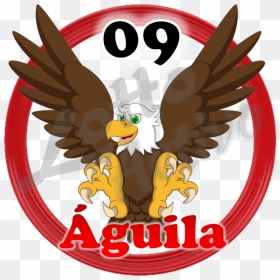 Aguila Lotto Activo Clipart , Png Download - Animalitos Lotto Activo Para Imprimir, Transparent Png - aguila png