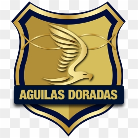 Thumb Image - Rionegro Águilas, HD Png Download - aguila png