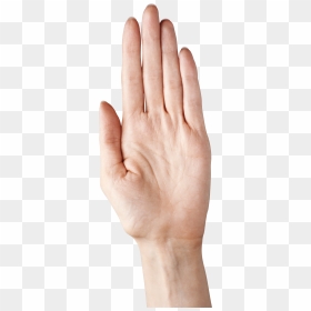 5 Finger Png - Hand With Fingers Together, Transparent Png - high five png