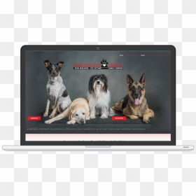 Clientpawsitively Great Dog Walking & Pet Sitting - Kromfohrländer, HD Png Download - family walking png