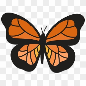 Collection Of All - Monarch Butterfly Clipart, HD Png Download - all the things png