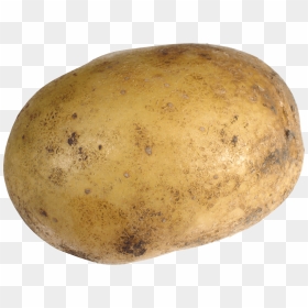 Single Potato - Potato Png, Transparent Png - potatoes png