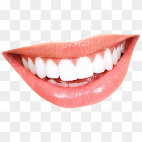 Teeth Png , Png Download - Teeth Png, Transparent Png - sharp teeth png