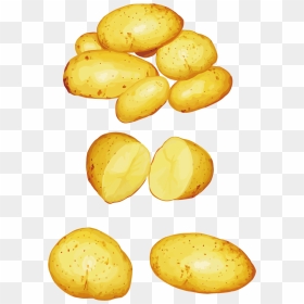 Potatoes Png Clipart - Potato Verdura Dibujo, Transparent Png - potatoes png