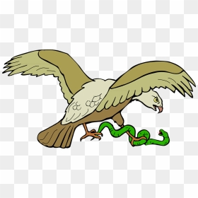 Collection Of Cartoon Pictures - Eagle Eating Snake Clipart, HD Png Download - aguila png