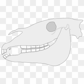 Horse Teeth Diagram, HD Png Download - sharp teeth png