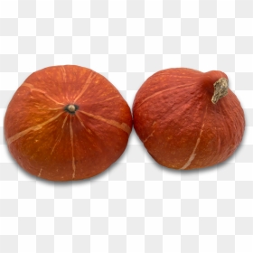Acorn Squash, HD Png Download - harvest png