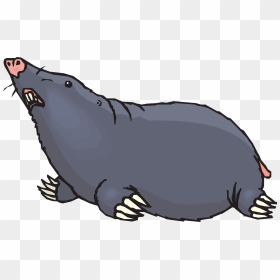 Mole Clipart, HD Png Download - claws png