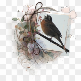 My Husband Woke Me Up Hearing This Meadow Bunting Singing - House Sparrow, HD Png Download - up house png