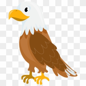 Bald Eagle Clipart - Eagle Clipart, HD Png Download - aguila png