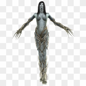 Age Lady Of The Forest, HD Png Download - the forest png