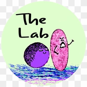 The Lab Web Button 4d3287f2 F2e1 4fd7 Bce3 8e9bd615c70b - Circle, HD Png Download - web button png