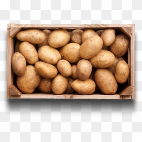 How To Prepare Potatoes - Russet Burbank Potato, HD Png Download - potatoes png