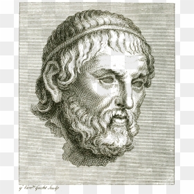 Homer Elwh - Sketch, HD Png Download - homer png