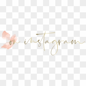 Follow Me On Instagram - Calligraphy, HD Png Download - follow png