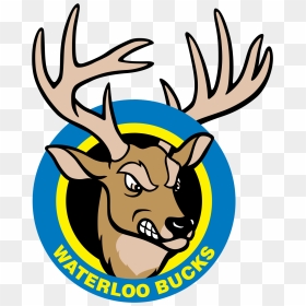 Waterloo Bucks Baseball Logo, HD Png Download - bucks logo png
