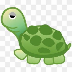 Turtle Icon - Turtle Png, Transparent Png - 128x128 png