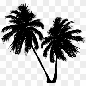 Palmeras Sombra Black Stiker - Palm Tree, HD Png Download - vhv