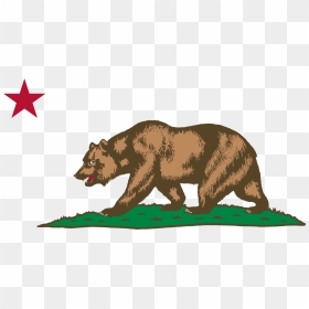 Flag Of California - California Bear And Star, HD Png Download - california flag png