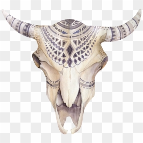 Boho Animal Skull Png - Bo Ho Cow Skull, Transparent Png - cow skull png