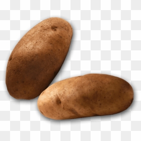 Russet Burbank Potato, HD Png Download - potatoes png