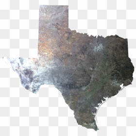 Texas In Winter - 2020 Texas Democratic Primary Map, HD Png Download - texas map png