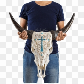 Carved Cow Skull // Xl Horns - Cattle, HD Png Download - cow skull png