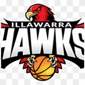 Ias Partners With The Illawarra Hawks - Illawarra Hawks, HD Png Download - atlanta hawks logo png