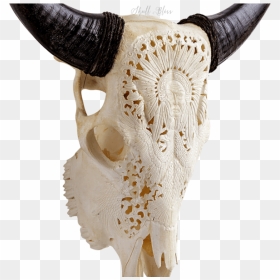 Carved Cow Skull // Xl Horns - Skull, HD Png Download - cow skull png