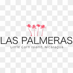 Las Palmeras , Png Download - Black And White Palm Trees, Transparent Png - palmeras png