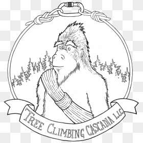 Sasquatch Is A Derivative Of The Word Sásq"ets, From - Cartoon, HD Png Download - sasquatch png