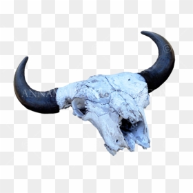 Animal, HD Png Download - cow skull png
