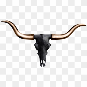 Longhorn Skull Clipart , Png Download - Portable Network Graphics, Transparent Png - cow skull png
