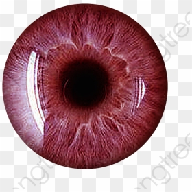 Transparent Eye Iris Png - Red Eye Lens Png, Png Download - crazy eyes png