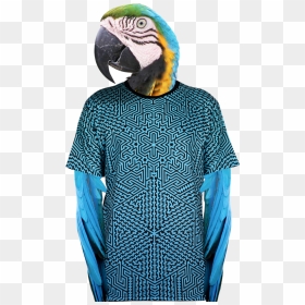 Macaw, HD Png Download - alakazam png