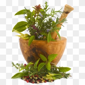 Chinese Herbs Png Image - Food Herbs Png, Transparent Png - herbs png