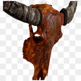 Animal Skulls Cattle Horn - Skull, HD Png Download - cow skull png