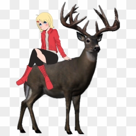 Meme - Big Buck Hd Wild Whitetail Deer, HD Png Download - meme.png