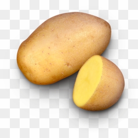 Russet Burbank Potato, HD Png Download - potatoes png