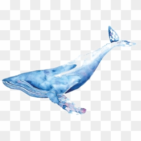 Thumb Image - Whale Drawing Png, Transparent Png - blue whale png