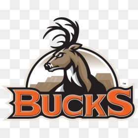 Bismarck Bucks Logo, HD Png Download - bucks logo png