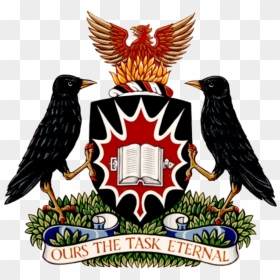 Carleton University Coat Of Arms, HD Png Download - blank coat of arms template png