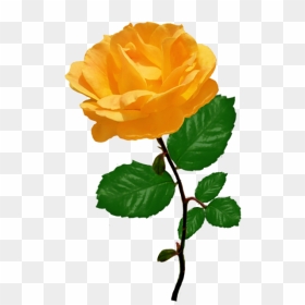 Red Orange With Leaves, HD Png Download - yellow rose png