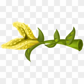 Herbs Yellow Crumb Flower Clip Arts - Clip Art, HD Png Download - herbs png