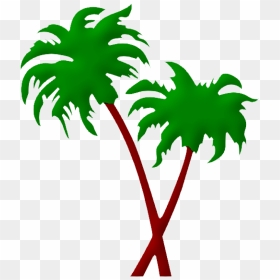 Palmera Tropical Png - Palm Tree Outline Png, Transparent Png - palmeras png