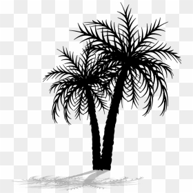 Palm Tree Png File, Transparent Png - palmeras png